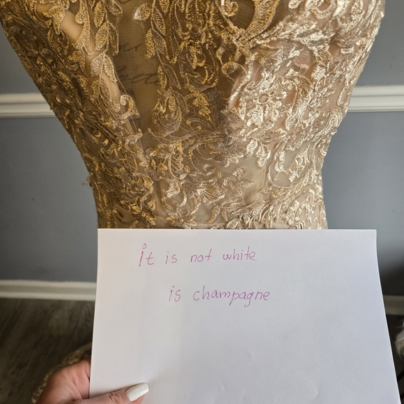 Elegant Lace Gown with Train - Picture 6 of 7